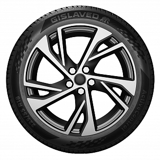 Шина Gislaved ActiveControl 225/55 R19 99V  FR